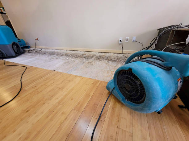Professional Burst Pipe Water Damage technician working in Rogers, AR